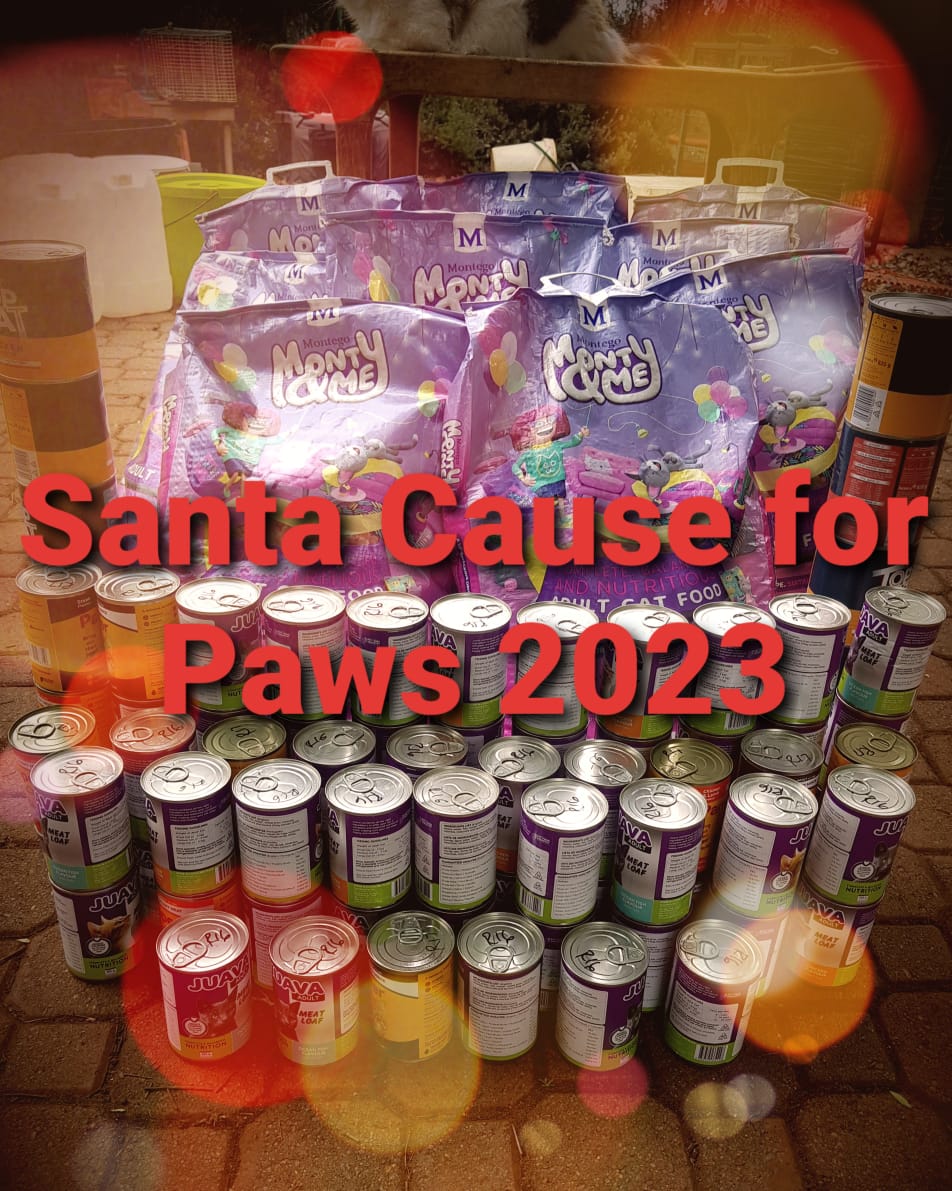 The Cat Foundation